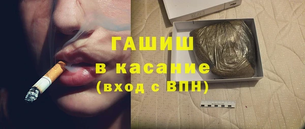 хмурый Аркадак