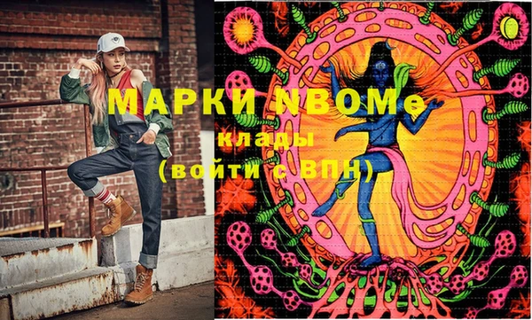 хмурый Аркадак