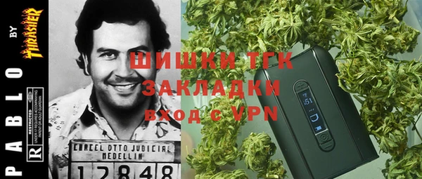 хмурый Аркадак