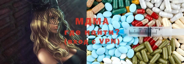 хмурый Аркадак