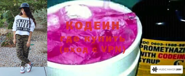 хмурый Аркадак