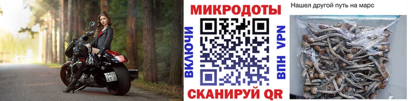 Галлюциногенные грибы MAGIC MUSHROOMS  закладки  Армянск 